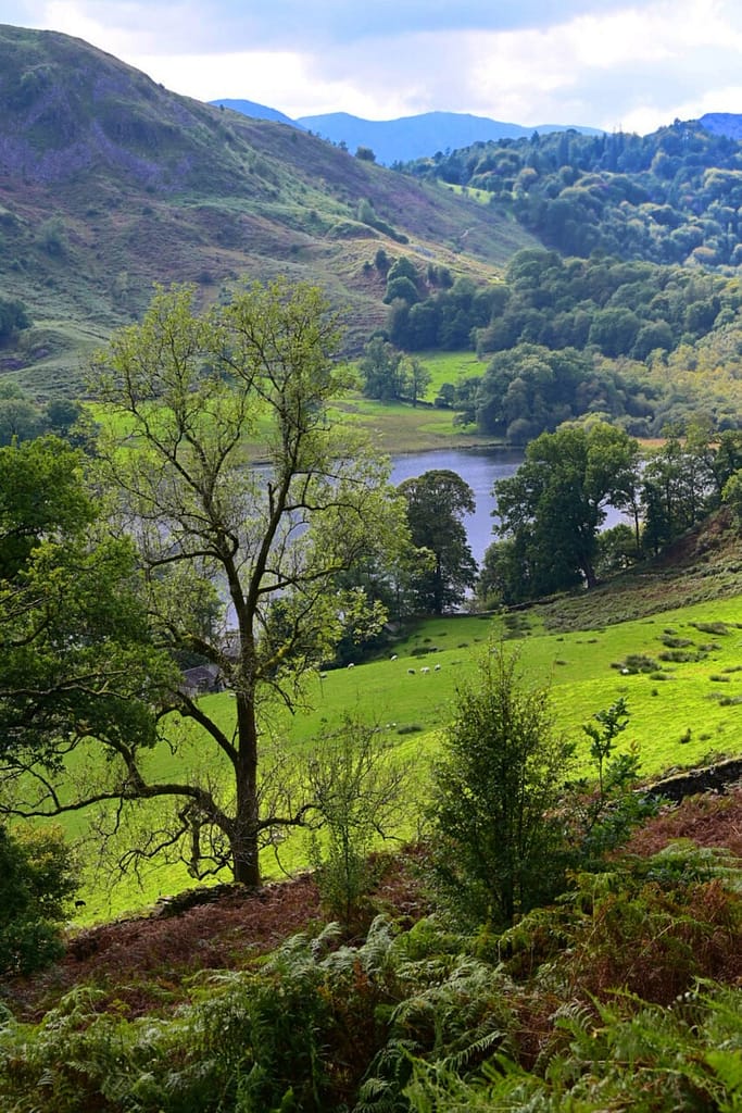 RYDAL-WATER-LP00102