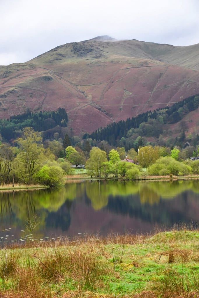 Rydal-Water-LP00130