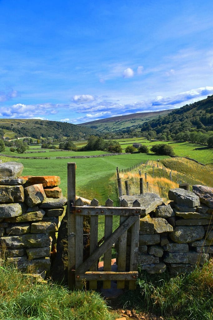 WENSLEYDALE-LP00103