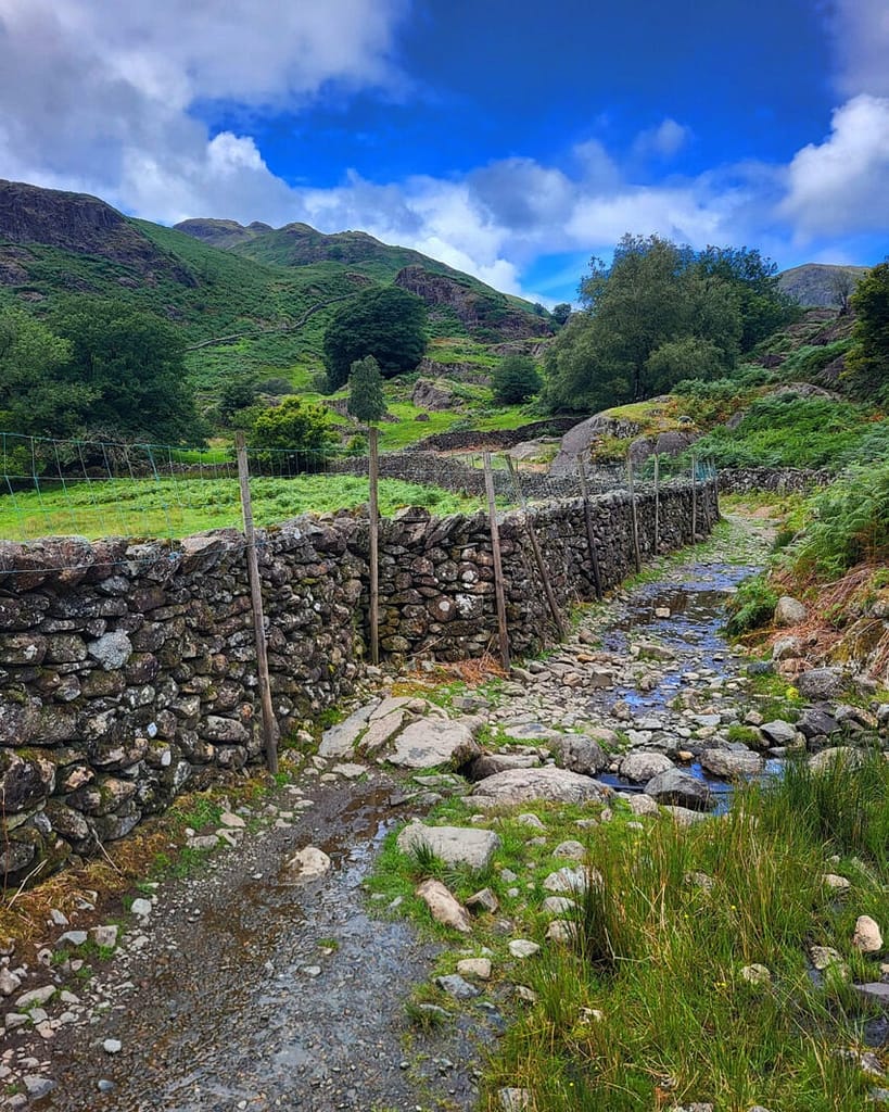 GRASMERE-LP00114